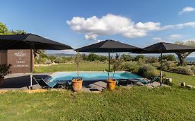 Terre Luberon